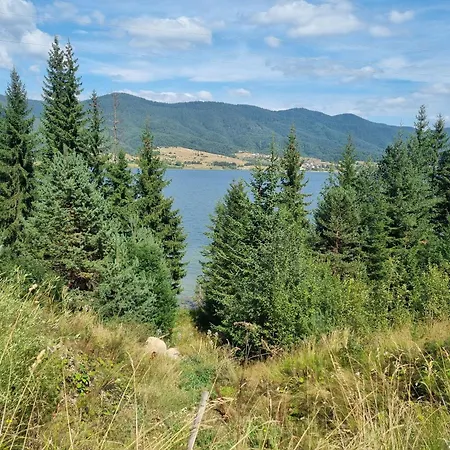 Guest house Hills - с храна 2*
