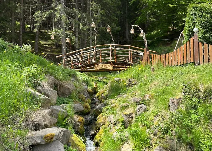 Hills - сърница